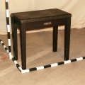 Bench 21