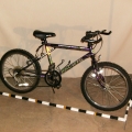 Bike 7