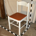 HPIM0587