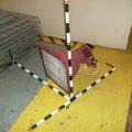 HPIM2724