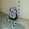 HPIM3100