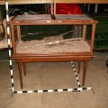 Terrarium