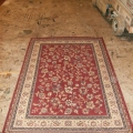 Rug 29