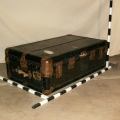 Trunk 5