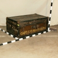 Trunk 13