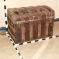 Trunk 21