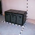 Trunk 8