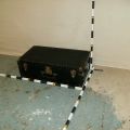 Trunk 34