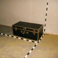 Trunk 33
