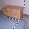 Trunk 1